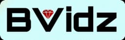 Bvidz Logo