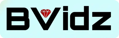 Bvidz Logo